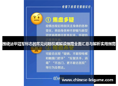 围绕法甲冠军标志的常见问题权威解读指南全面汇总与解析实用指南