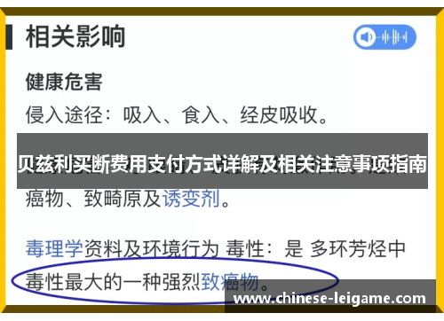 贝兹利买断费用支付方式详解及相关注意事项指南